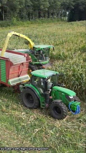 Mais Silage | John Deere + Massey Ferguson | Geurtsen & Ploeg | 2023
