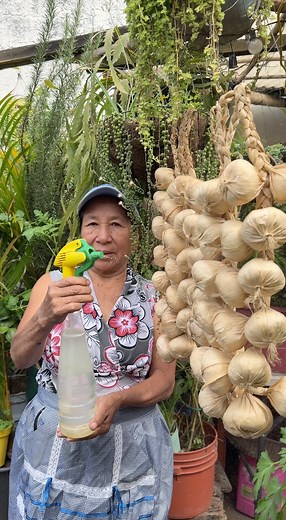 119K views · 2K reactions | Como usar el ajo en las plantas para eliminar hongos y plagas | Ofelia Perez | Facebook
