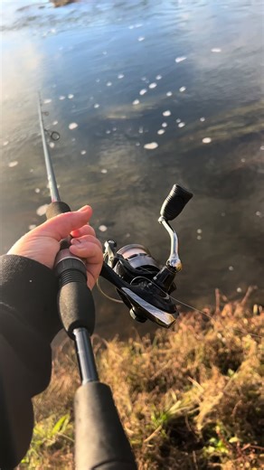 Trout Tasmania on TikTok