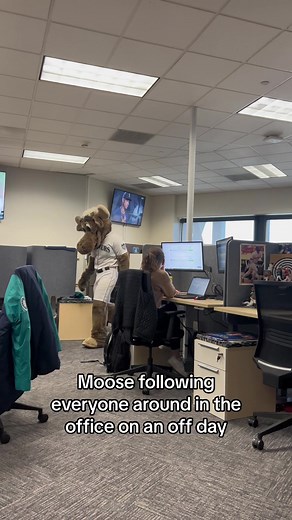 Corporate Moose 🫡 #mlb #mariners #baseballtiktok
