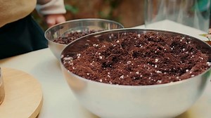 Houseplant Care Tips for Beginners Keep Your Plants Thriving!