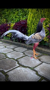 Nicol Checa✍🏻 | Nicol Checa