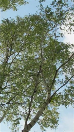 А помнишь это чувство… 🌿