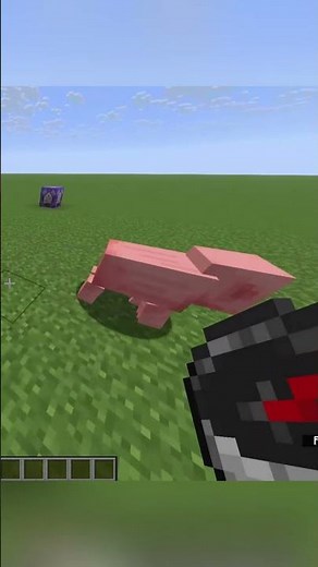 Manhunt Compass With Only 1 Command! #minecraftshorts #commandblocks