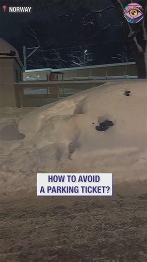 Car stuck under snow gets parking fine☃️ | Bright Side