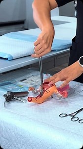 HSG (Histerosalpingografi) adalah prosedur pemeriksaan radiologi dengan menggunakan sinar-X dan zat kontras untuk mengevaluasi kondisi rahim (uterus) dan saluran tuba falopi. Tujuan HSG: ✅ Memeriksa apakah saluran tuba tersumbat atau terbuka ✅ Menilai bentuk dan struktur rahim ✅ Mendeteksi kelainan seperti polip, fibroid, atau perlengketan Cc tik tok : patriciasulyn #infertilitas #infertility #komunitasindonesia #pejuangduagaris #pejuanggarisdua #kamuberharga #mentalhealth #kesehatanmental #wani