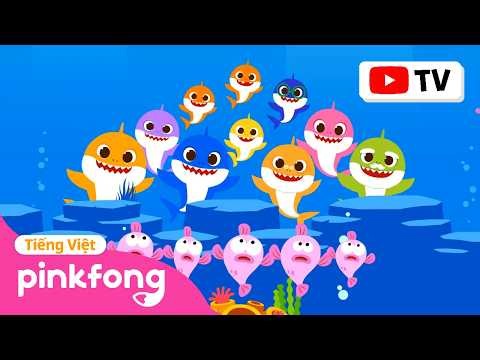Tuyển tập Cá Mập Con và hơn thế nữa 🦈 Pinkfong Baby Shark Nhạc thiếu nhi