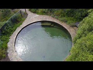 Experience crystel-clear Water without Chlorine - Biotop Living Pool