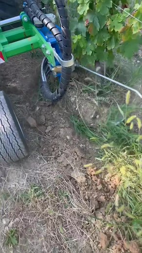 Field Demo Of inRow Cultivator For Weeding & Tillage ｜｜ Made By Celli... | Jemma Machine