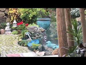 fischreiher überlistet Reiherschreck