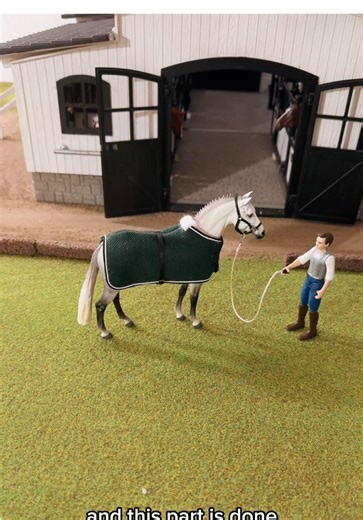 I finally had time to continue building my Schleich diorama. What should I do next? Leave it like this… add a round pen… or turn this area into a pasture? 🇫🇷 J’ai enfin trouvé le temps de continuer mon écurie schleich! J’adore voir ce projet reprendre vie petit à petit… Qu’est-ce que je fais ensuite ? Je laisse comme ça… j’ajoute un rond de longe… ou je transforme cette zone en pâture ? Dites-moi ce que vous en pensez en commentaires ! #modelhorse #schleichhorse #schleichstable #schleich