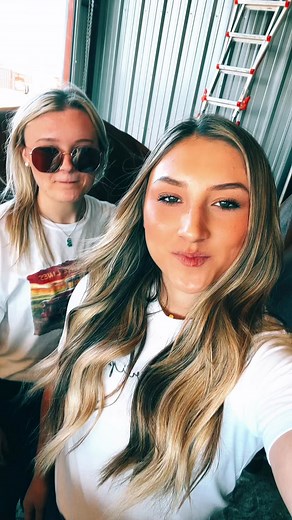 How to Put on a Horse Halter: Step-by-step Guide