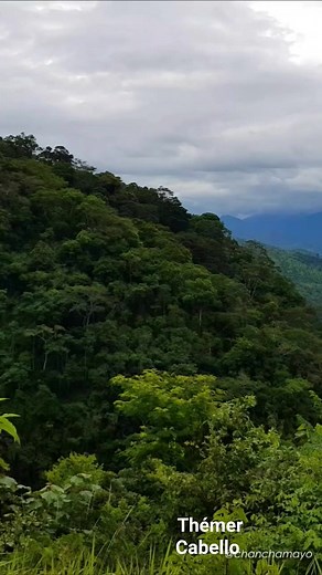 5.8K views · 55 reactions | Éxitos Musicales En Español on Reels | Facebook