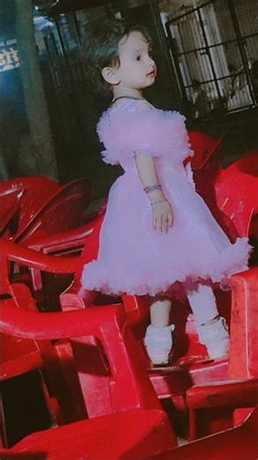 🌹🌹🌹🌹🌹🌹🌹