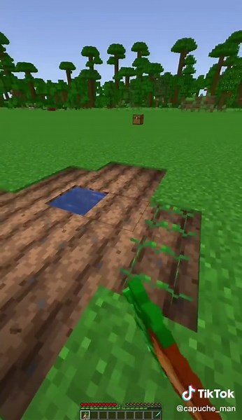 Cooking Minecraft Meat at Home: A Step-by-Step Tutorial