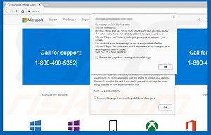 Your Computer Is In Blocked State Scam