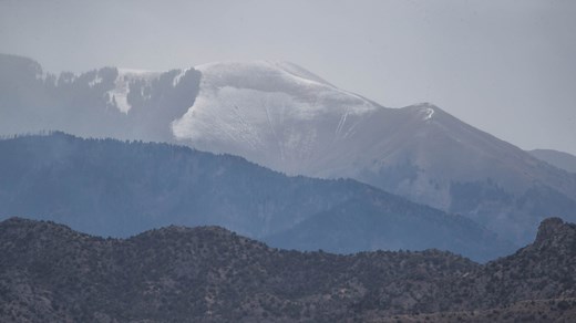 Cut your live Christmas Tree in local National Forests