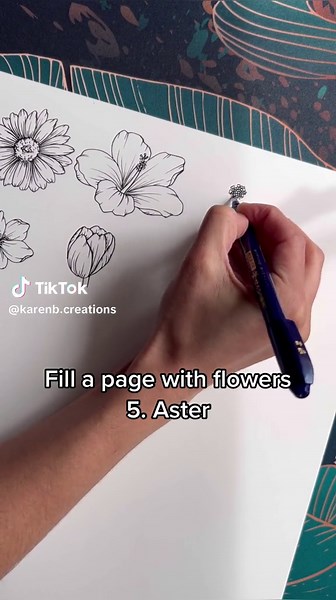 Vibrant Asters Drawing Tutorial