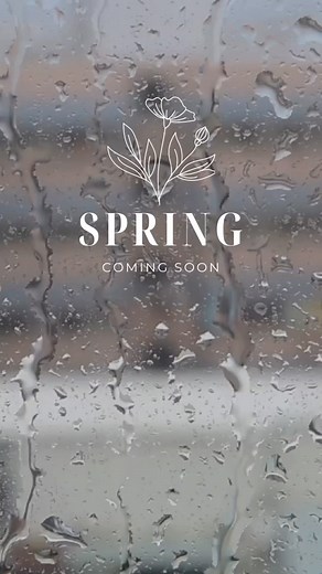 Tomorrow is the first day of spring, what are you most excited for this spring? 🌱🌼🐰🌦️ | Tame Your Mane