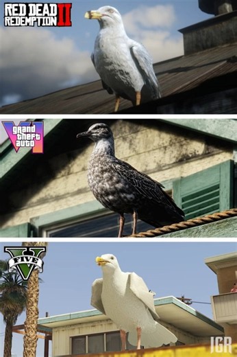 GTA 6 VS RDR 2 VS GTA 5 - Gull Comparison