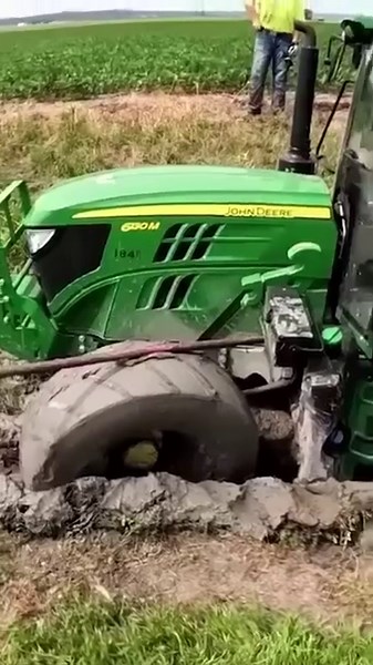 Rescuing a massive batwing from the muck