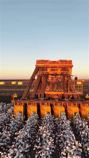 John Deere cotton harvester#cotton #johndeere #cottonharvester #agriculturalmachinery