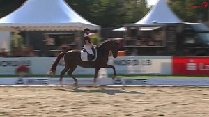 Ein weiteres Ticket zum HKM Bundeschampionat wurde heute auf dem 73. Oldenburger Landesturnier in Rastede gelöst! 🙌🏼 ▶️ watch.clipmyhorse.tv/OldenburgerLandesturnier-Rastede_2022 Annika Korte siegte im Sattel der 6-jährigen Stute Venicia (Vivaldi x Don Frederico) in der Dressurpferdeprüfung der Klasse M mit einer Note von 8,2. 🌟 | ClipMyHorse.TV Deutschland