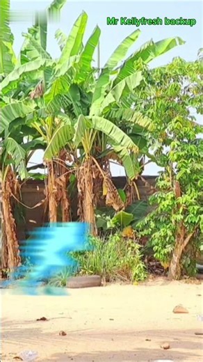 Flash effect #shorts