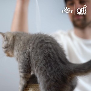 24K views · 19 reactions | #ad Pien Meulensteen is bringing her football commentary to a whole new game!  Check out some Perfect Match moments with Cats Protection and ITV Sport, and visit cats.org.uk/perfectmatch to learn more. | ITV Sport | Facebook