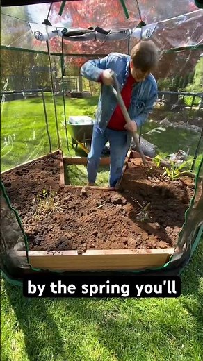 Save of Fall Leaves 🍂| Home Gardening Tips