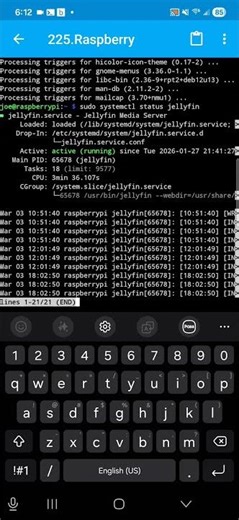 Check Pi5 Jellyfin Server Status From Android Phone