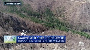 Clean startup, DroneSeed, begins investing in reforestation by generating carbon credits