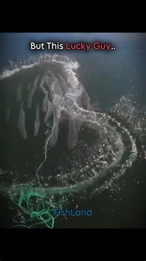 Catching 100 Fish Isn't As Cool As You Think