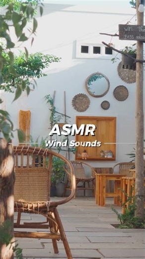 🌬️Gentle Wind in a Cozy Cafe☕ | Relaxing Coffee Shop Wind Sounds for Study, Sleep (No Music, ASMR)