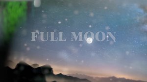 💍Is this “fake marriage” a good idea? 🤔 Watch Full Moon daily on Novela E Ch. 53/127 at 8pm for more! Join our Whatsapp group for fun discussions>> https://chat.whatsapp.com/DBOlUBOk9wbDZdmLpvtkGn >> Subscribe to Basic Bouquet or Smart Bouquet for only 599/- and 999/- respectively to follow your favorite shows. #StarTimesTelenovelas #FullMoon #Dolunay #TurkishDrama #CanYaman | StarTimes