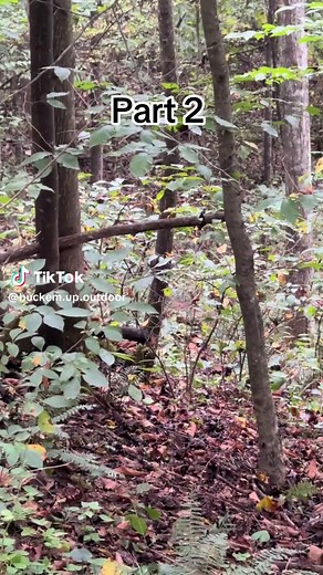 @Kobie @Slockemupoutdoors #FentySuperBrandDay #LanguageLearning #buckemupoutdoors #deerhunting #hunting #