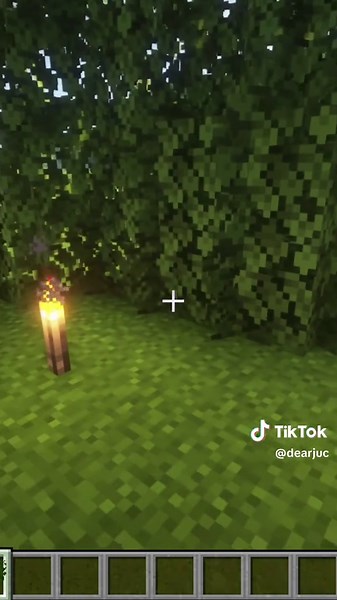 Tutorial Bosque Secreto em Stardew Valley e Minecraft