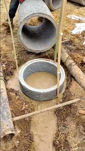 Concrete Pipe Installation: Digging, Placing, and Aligning with Bamboo !