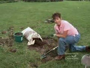 How To Prepare Garden Beds For New Plants