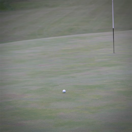 What’s the longest putt ever made? #golf #golfswing #sports #golflife #golfers #golfing #golfclub #golfcourse | Zac Radford