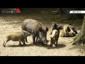 1分で分かる日本の歴史～縄文時代～