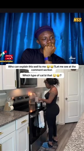 Understanding Different Types of Cats and Their Behaviors