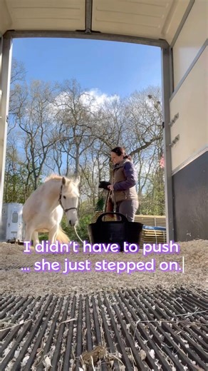 Trailer Loading Without Force? Here’s What Actually Worked… #targettraining #rewardbasedtraining