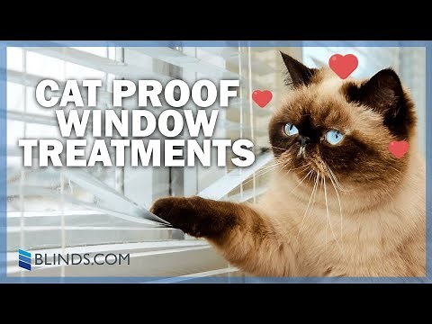 Top Picks For Cat-friendly Window Treatments | Blinds.com