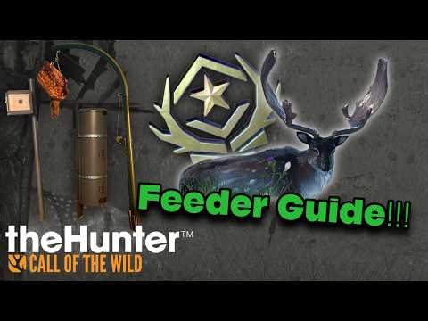 How to Use Feeders the RIGHT Way in theHunter Call of the Wild (Spawn More Trophies FAST)