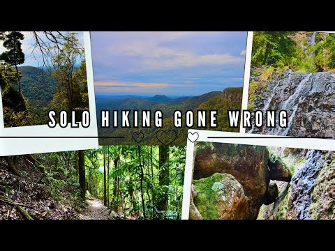 solo hiking springbrooks warrie circuit - I fell!