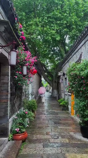 Enjoying Walking in the same street in different seasons summer,antum,winter,spring