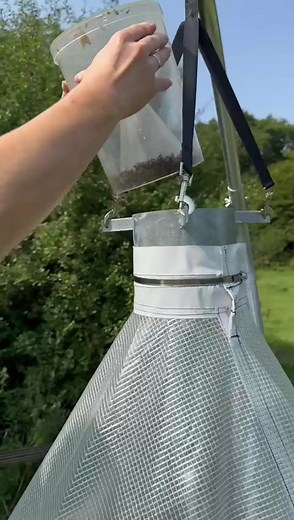Le piège à taons le plus efficace - Fonctionnement et utilisation