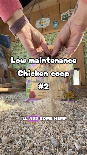 Low Maintenance Chicken Coop Setup Part 2