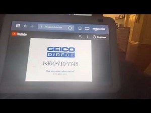 Geico direct Tooth￼ Fairy￼ Laughing dog 1988￼